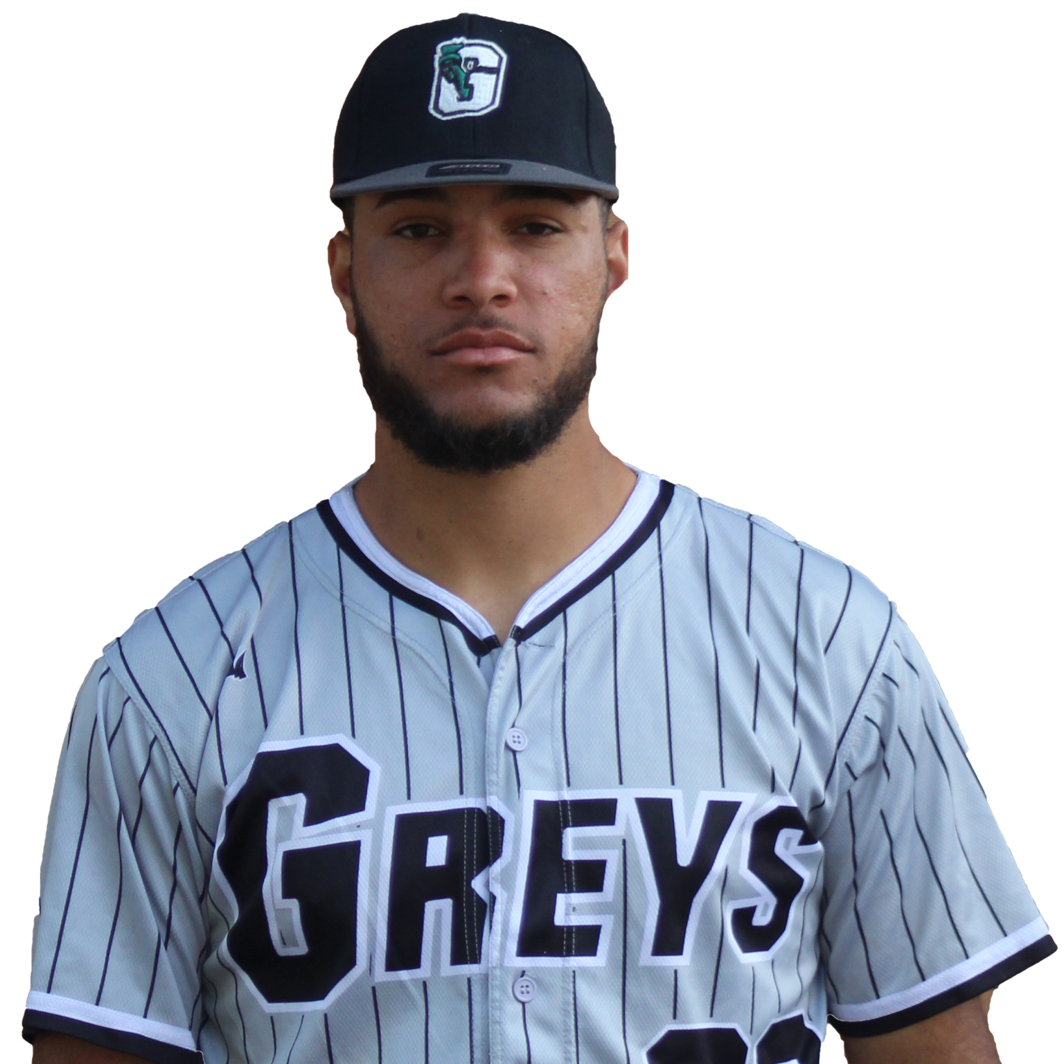 Empire State Greys Official Club in the MLB Partnered Frontier League